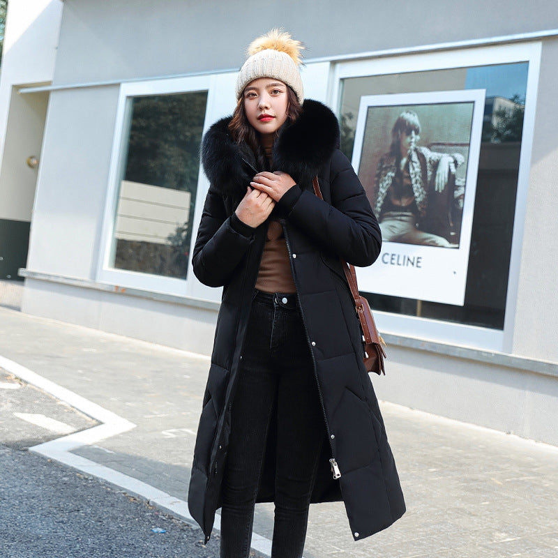 European, American winter new fashion large size cotton-padded clothes women's long Korean version waist over knee thickened large fur collar cotton-padded jacket jacket