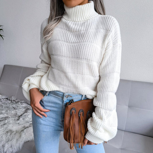 Warmest Winter Turtle Neck Sweater